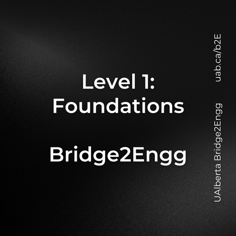 Level 1: Foundations