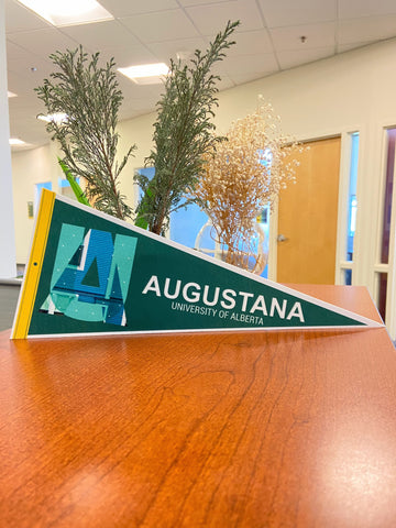 Augustana Pennant 6"x15"