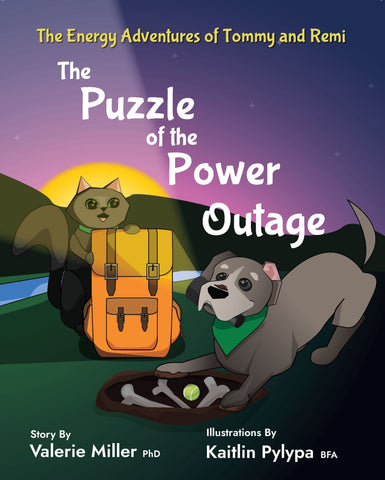 The Puzzle of the Power Outage