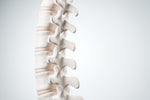 Spinal Cord Injury Managment for Health Professional Online Course - Course Fee